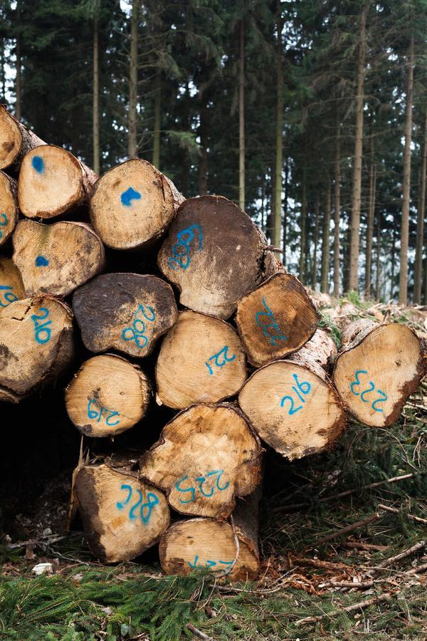 Hotel - Restaurant De 4 Jaargetijden Epen Zewnętrze zdjęcie